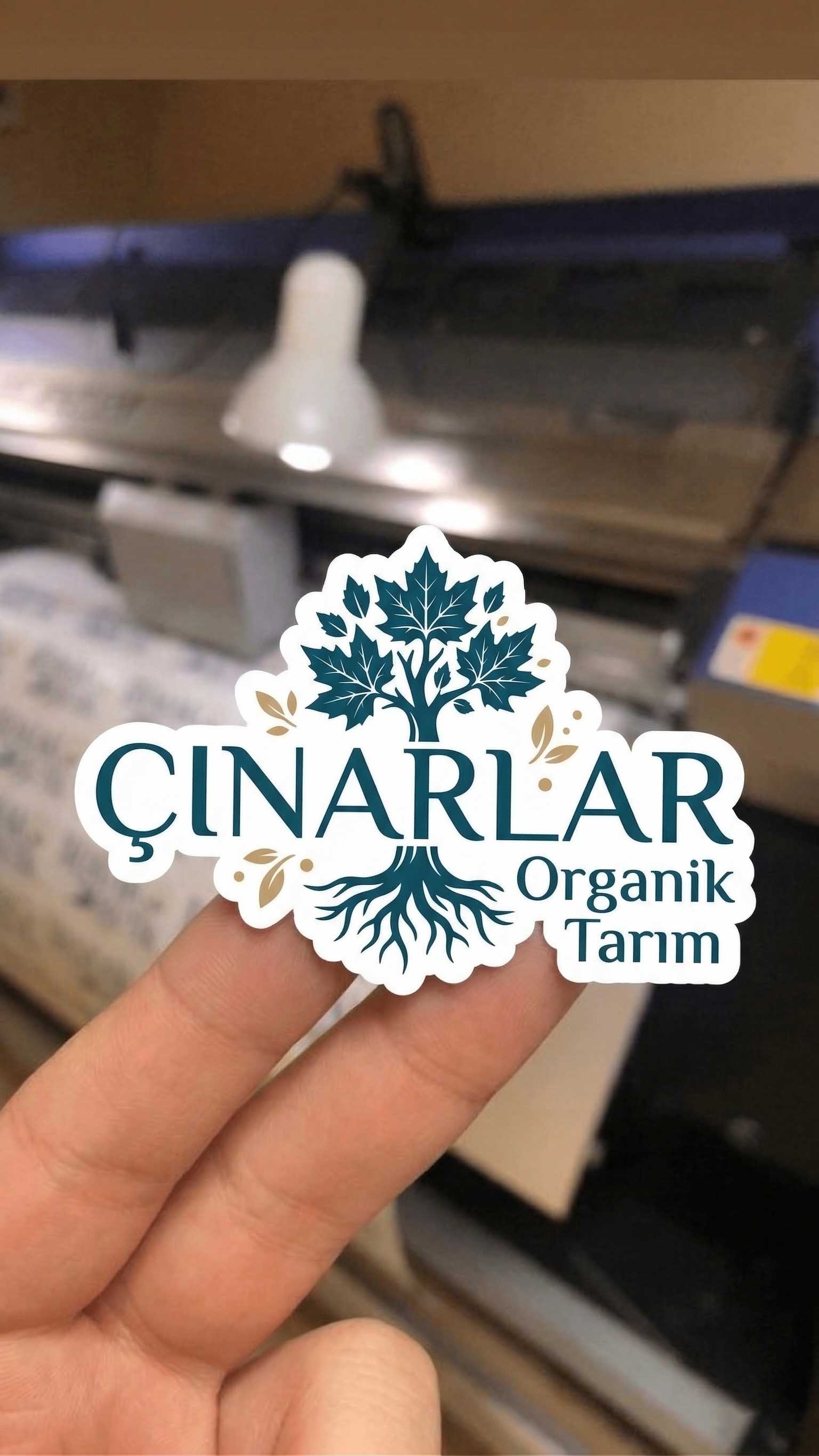 Sticker Projesi 6